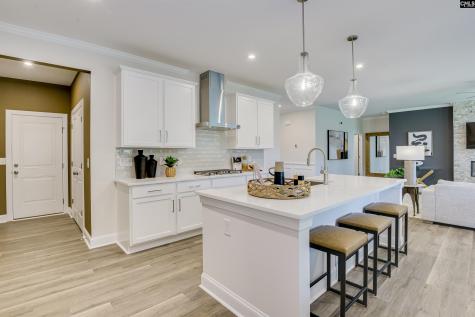 2482 Green Viper Loop Blythewood SC 29016