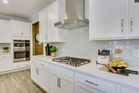 2482 Green Viper Loop Blythewood SC 29016