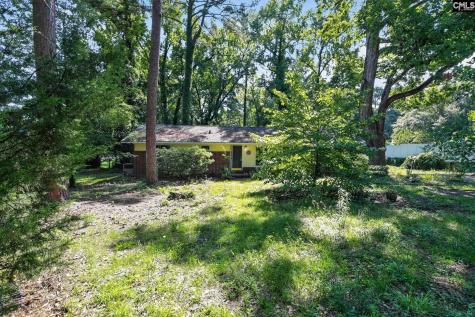 1008 Ontario Drive West Columbia SC 29169
