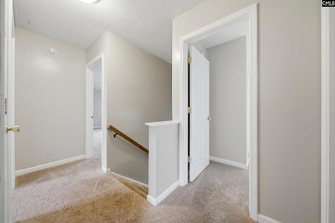 305 Cutter Court Chapin SC 29036