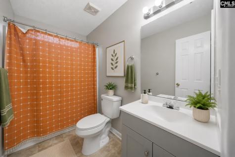 305 Cutter Court Chapin SC 29036