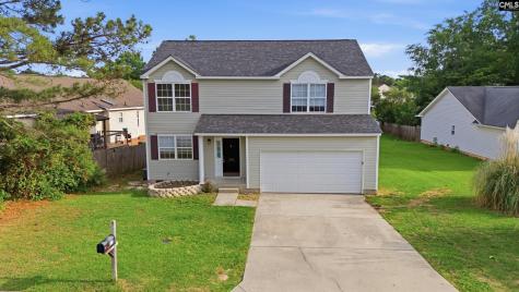 305 Cutter Court Chapin SC 29036