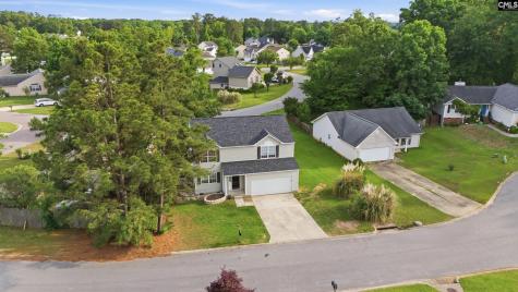 305 Cutter Court Chapin SC 29036