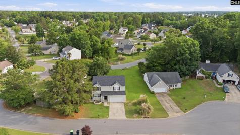 305 Cutter Court Chapin SC 29036