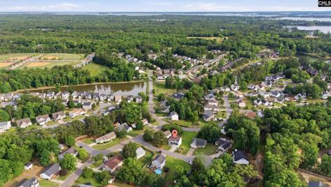 305 Cutter Court Chapin SC 29036