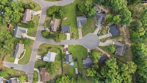 305 Cutter Court Chapin SC 29036