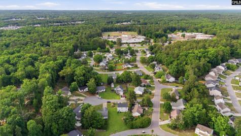 305 Cutter Court Chapin SC 29036