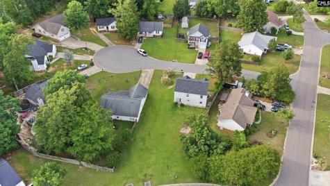 305 Cutter Court Chapin SC 29036