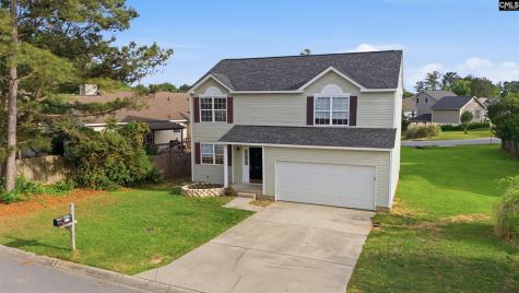 305 Cutter Court Chapin SC 29036