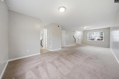 305 Cutter Court Chapin SC 29036