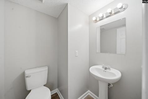 305 Cutter Court Chapin SC 29036