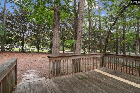 73 Upper Loop Way Columbia SC 29212