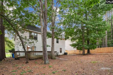 73 Upper Loop Way Columbia SC 29212