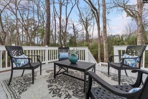 11 Copperfield Court Columbia SC 29209