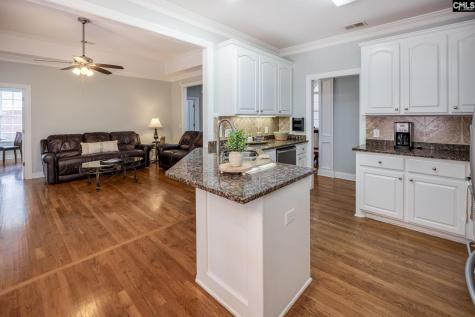 117 Mariners Creek Drive Lexington SC 29072