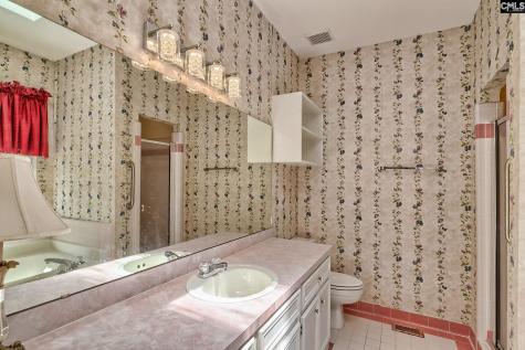 48 Polo Ridge Circle Columbia SC 29223