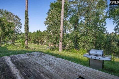 156 Lake Elizabeth Drive Columbia SC 29203