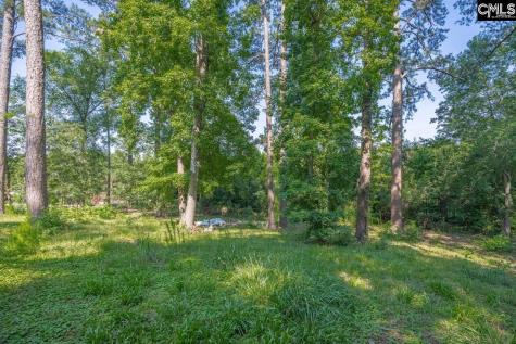 156 Lake Elizabeth Drive Columbia SC 29203
