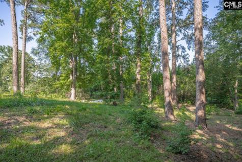 156 Lake Elizabeth Drive Columbia SC 29203
