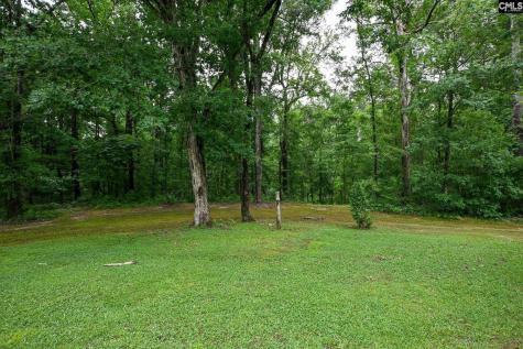 1941 Ray Price Road Leesville SC 29070
