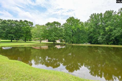 1941 Ray Price Road Leesville SC 29070