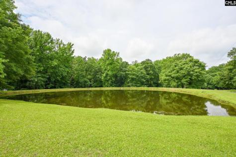 1941 Ray Price Road Leesville SC 29070