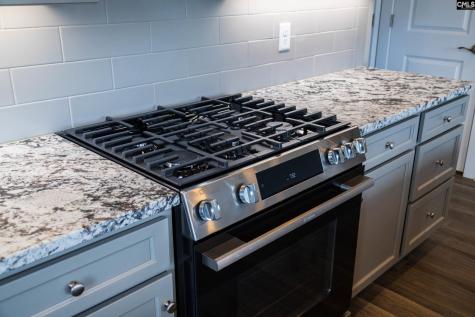 1020 Manarola Road Lexington SC 29072