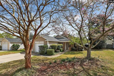 10 Crimson Court Columbia SC 29229