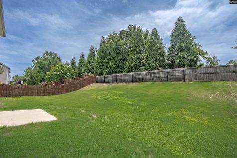 246 Mill House Lane Lexington SC 29072