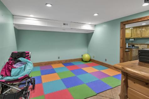 6 Green Shank Court Irmo SC 29063