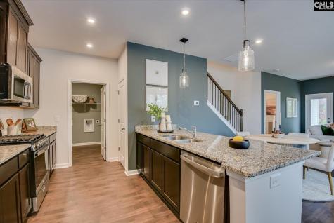 515 Chrome Horse Lane Lexington SC 29073