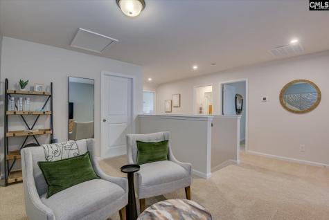 515 Chrome Horse Lane Lexington SC 29073