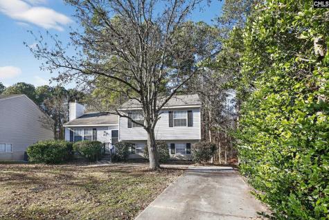 23 Lowescroft Circle Irmo SC 29063