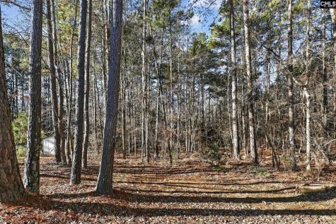 23 Lowescroft Circle Irmo SC 29063