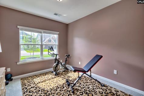 933 Perlino Place Lexington SC 29072-2382