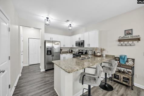 163 Indigo Place Court West Columbia SC 29172