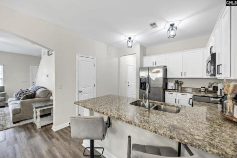 163 Indigo Place Court West Columbia SC 29172