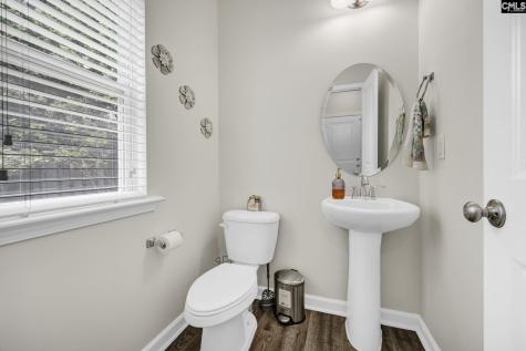 163 Indigo Place Court West Columbia SC 29172