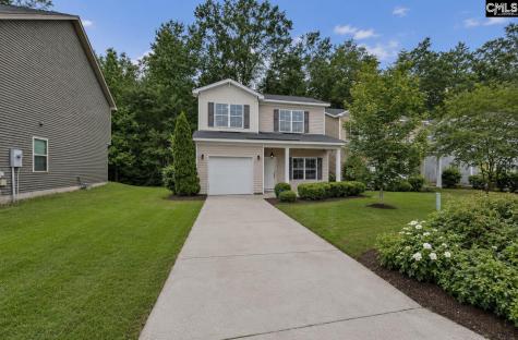 163 Indigo Place Court West Columbia SC 29172
