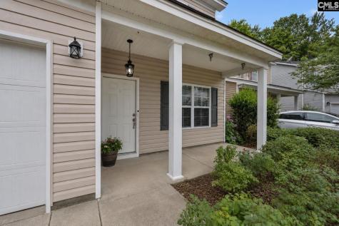 163 Indigo Place Court West Columbia SC 29172