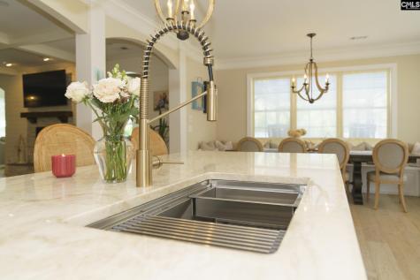 377 Dragonfly Drive Lexington SC 29072