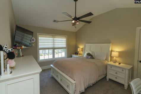 377 Dragonfly Drive Lexington SC 29072