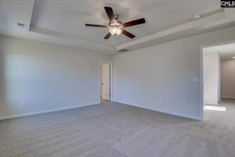313 Brass Billion Path Lexington SC 29073
