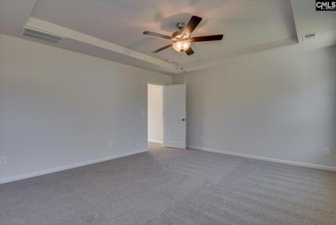 313 Brass Billion Path Lexington SC 29073