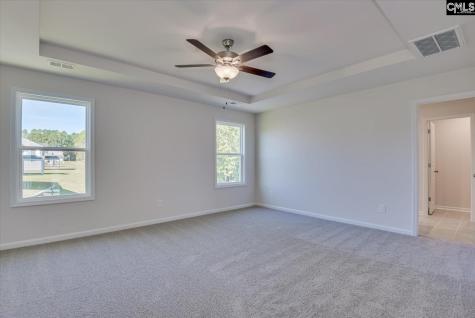 313 Brass Billion Path Lexington SC 29073