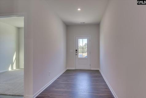 313 Brass Billion Path Lexington SC 29073