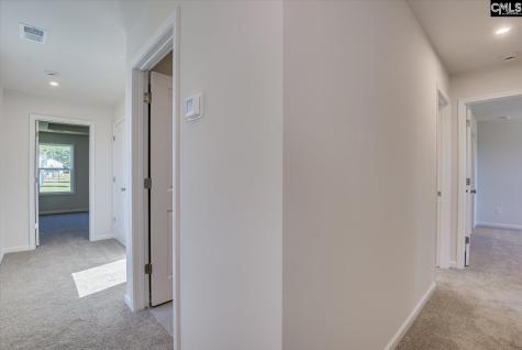 313 Brass Billion Path Lexington SC 29073