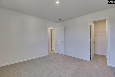 313 Brass Billion Path Lexington SC 29073