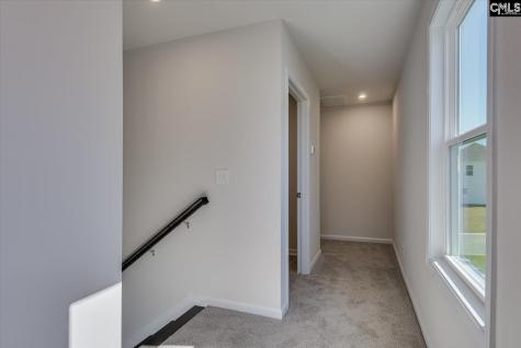 313 Brass Billion Path Lexington SC 29073