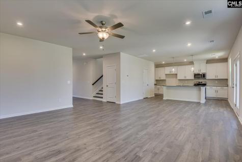 313 Brass Billion Path Lexington SC 29073